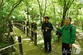 인제 점봉산 곰배령 예약