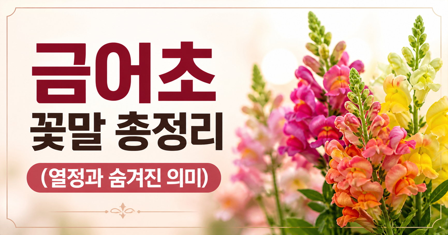 금어초 꽃말