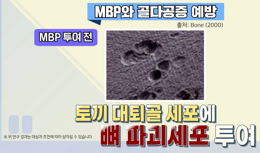 MBP 효능