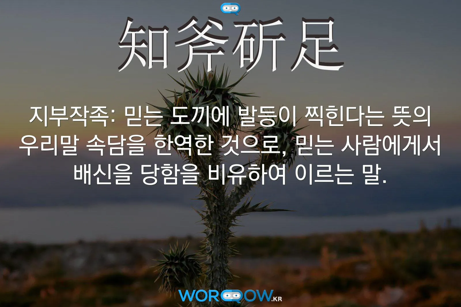 지부작족 뜻 유래 의미 어리석음 고사성어_5