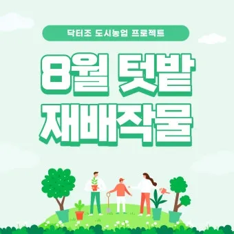 8월에 심는 밭작물 모종 채소 재배법 알아보기_22