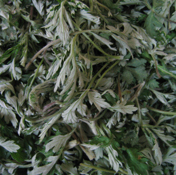 쑥 효능 부작용 칼로리 요리