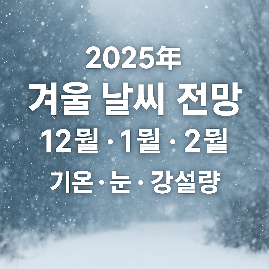 겨울 날씨 전망