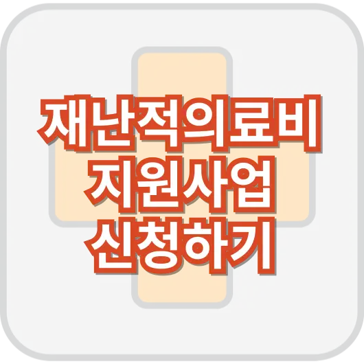 재난적_의료비_지원사업