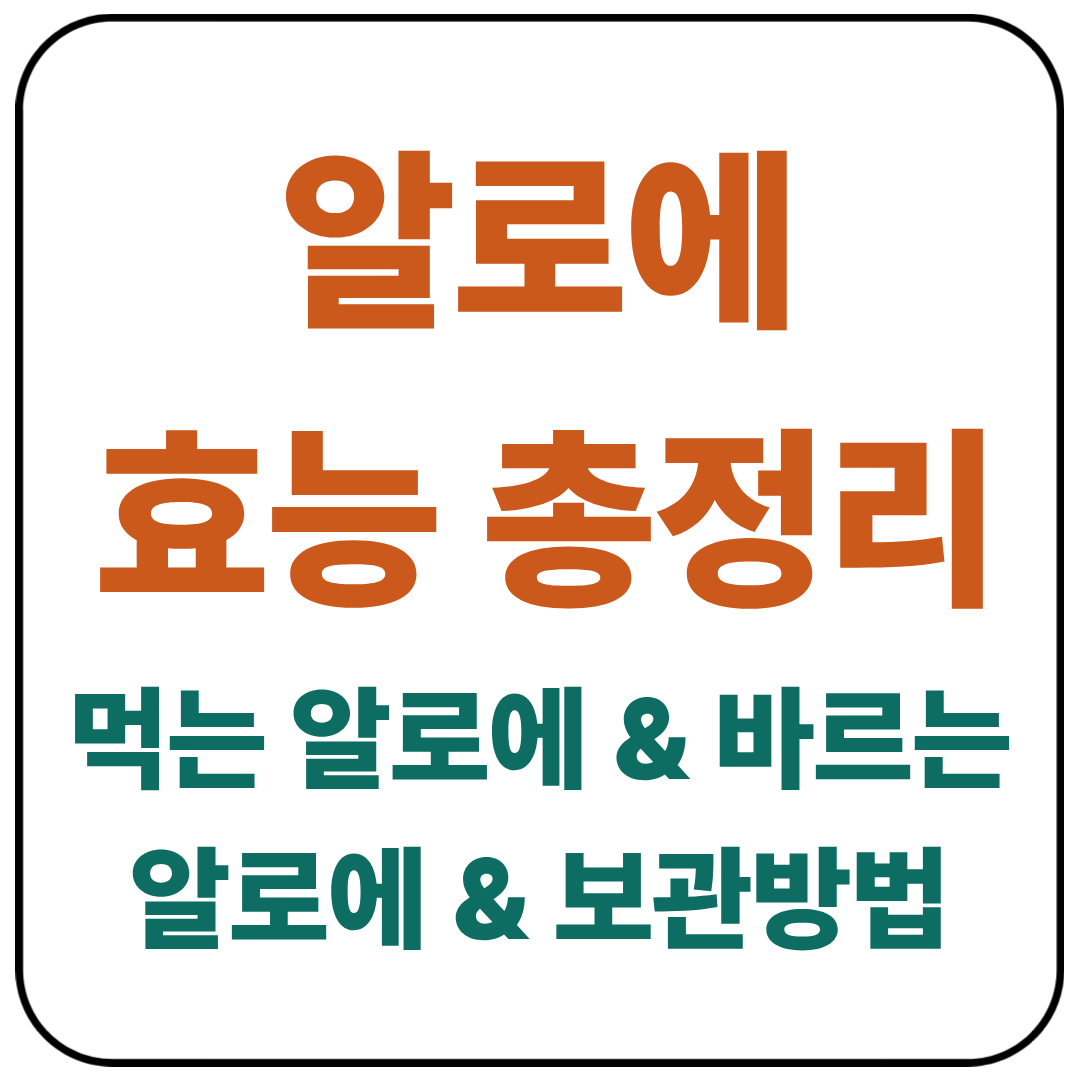 알로에 효능 총정리 / 먹는 알로에 &amp; 바르는 알로에 &amp; 보관방법