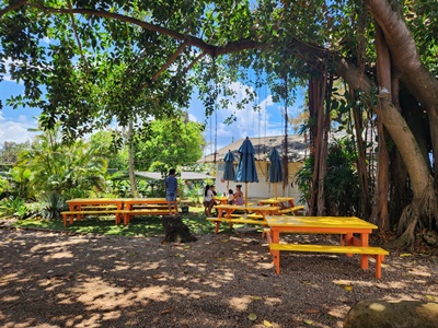 더썬라이즈쉐이크테이블