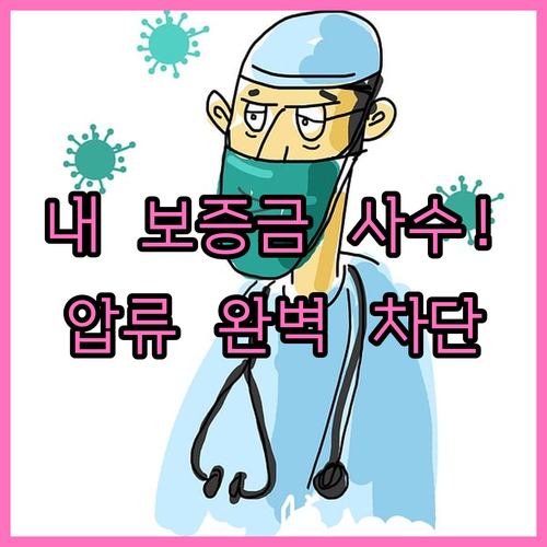 압류방지계좌 입금 제한 시스템과 보증..