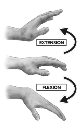 손목 위아래 움직임