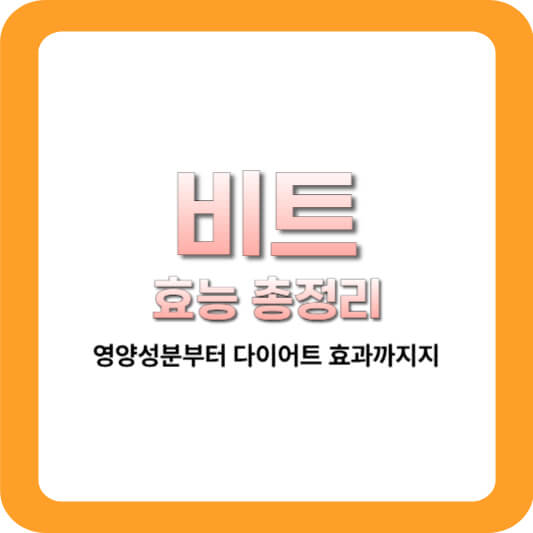 비트 효능