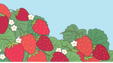 논산딸기축제 주차장