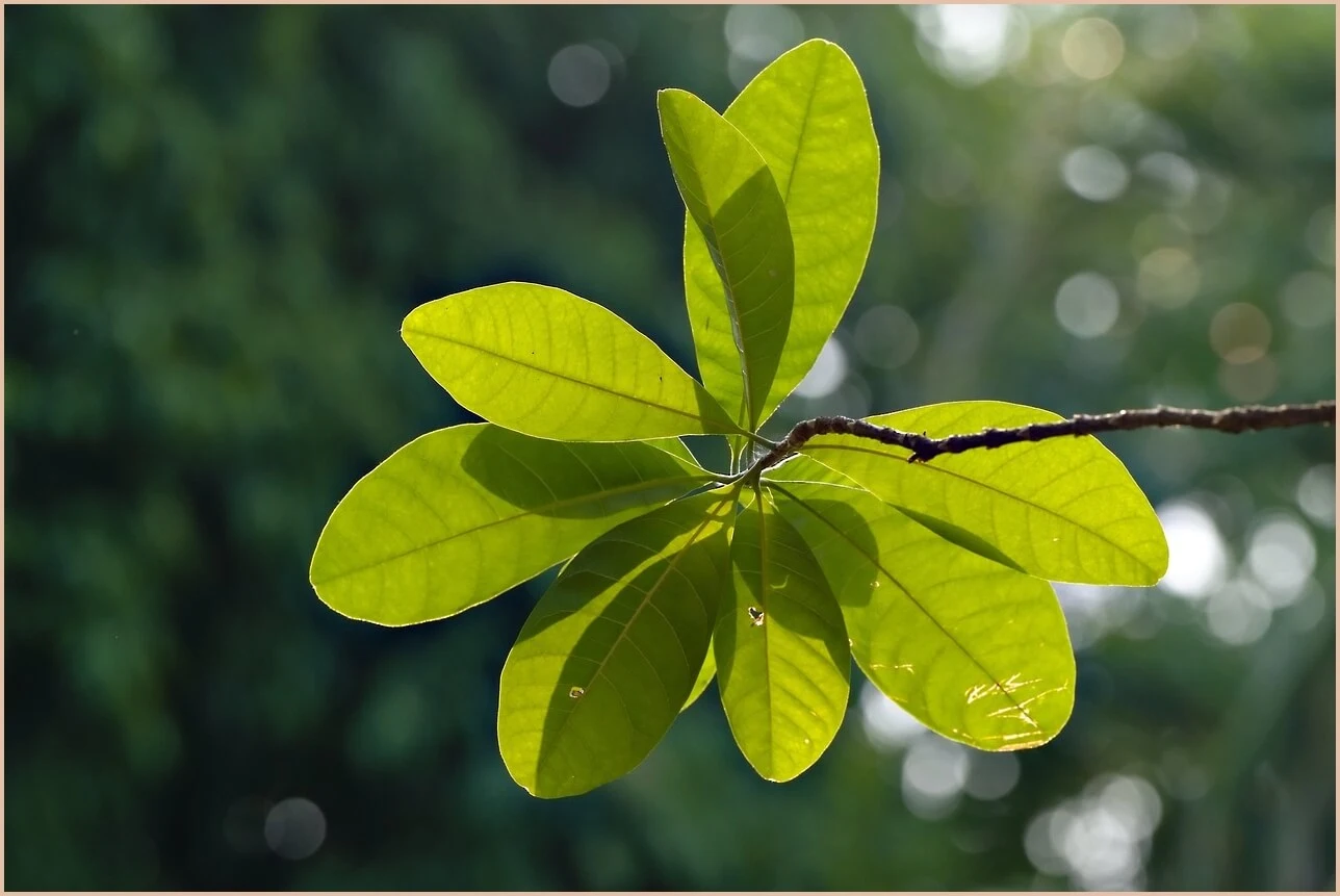 기업은행 정기예금 금리