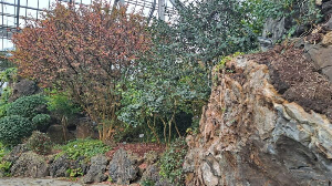 화성_우리꽃식물원_국화전시회