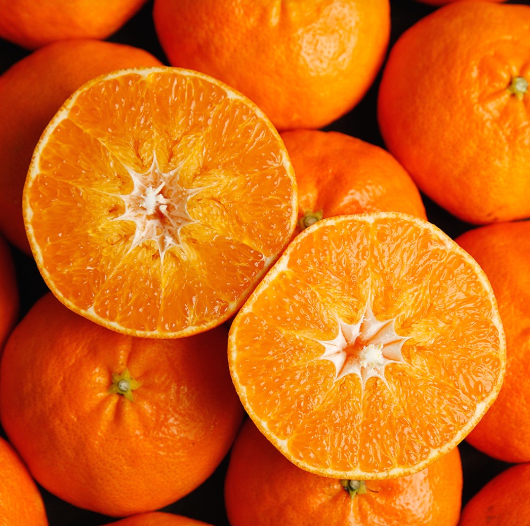 🍊 한라봉, 천혜향, 레드향… 뭐가 다른지 모르겠다면?