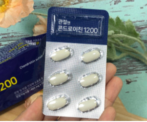 콘드로이친-사진4