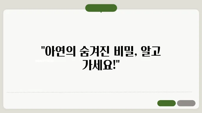 아연 효능 부작용