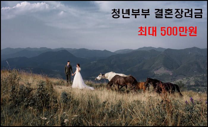 청년부부 결혼장려금 대표이미지