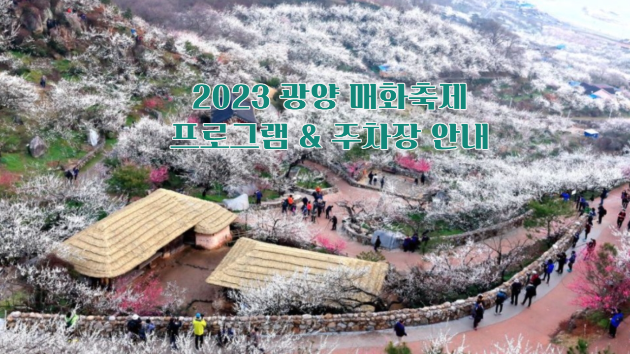 광양 매화축제