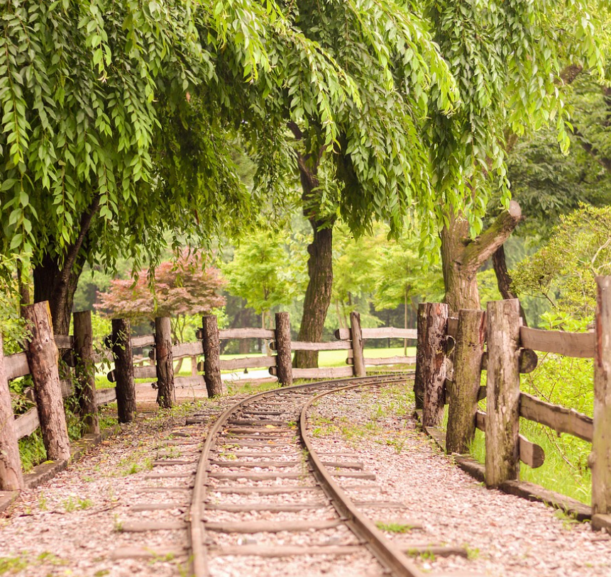 연인과 주말 여행지 남이섬 사진