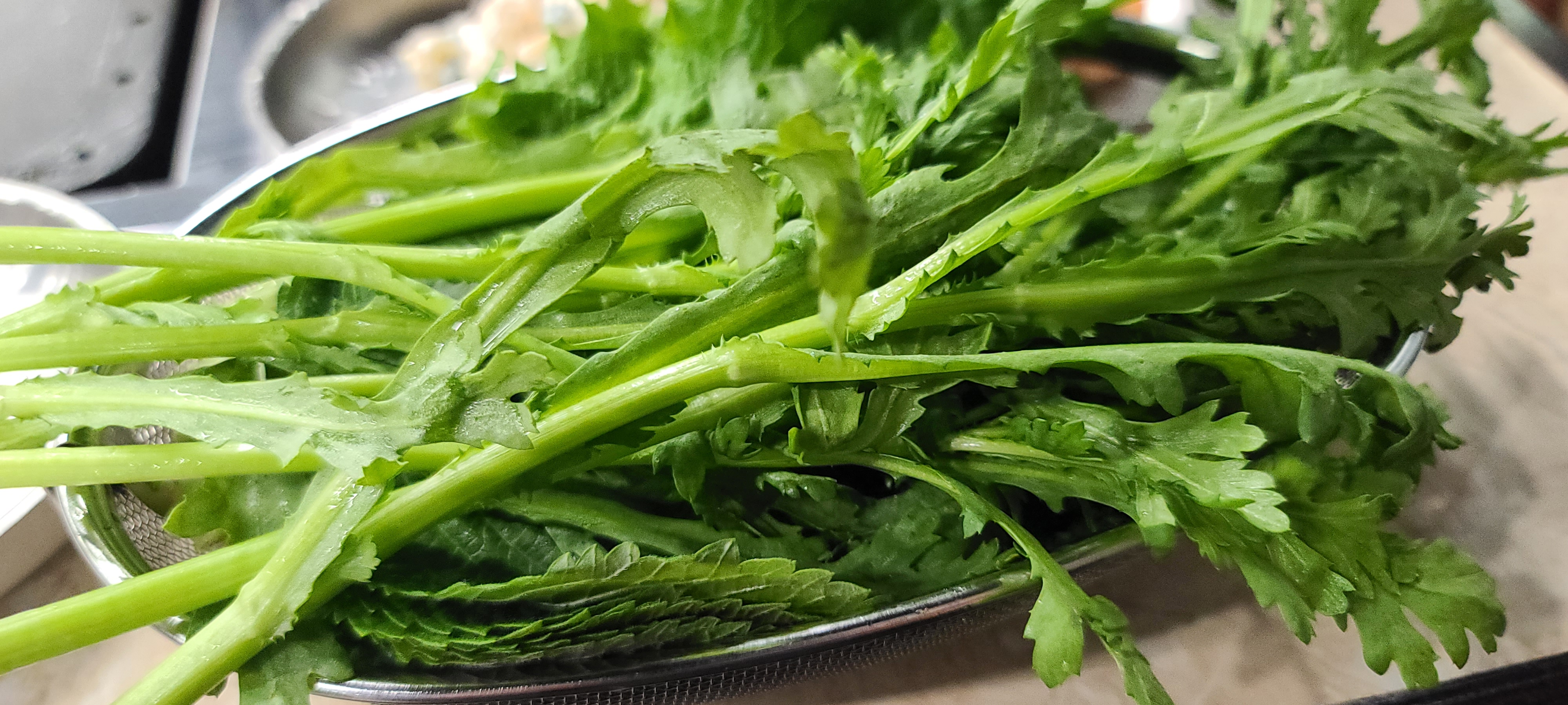 삼겹살맛집 중원구맛집 성남맛집 을지대맛집 삼겹살구이 은행나무집 은행한판 자리세팅 미나리