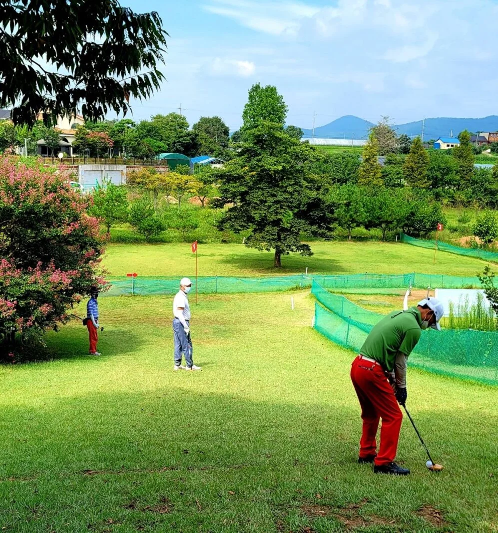파크골프 샷 스탠스 정렬방법, 샷의 종류