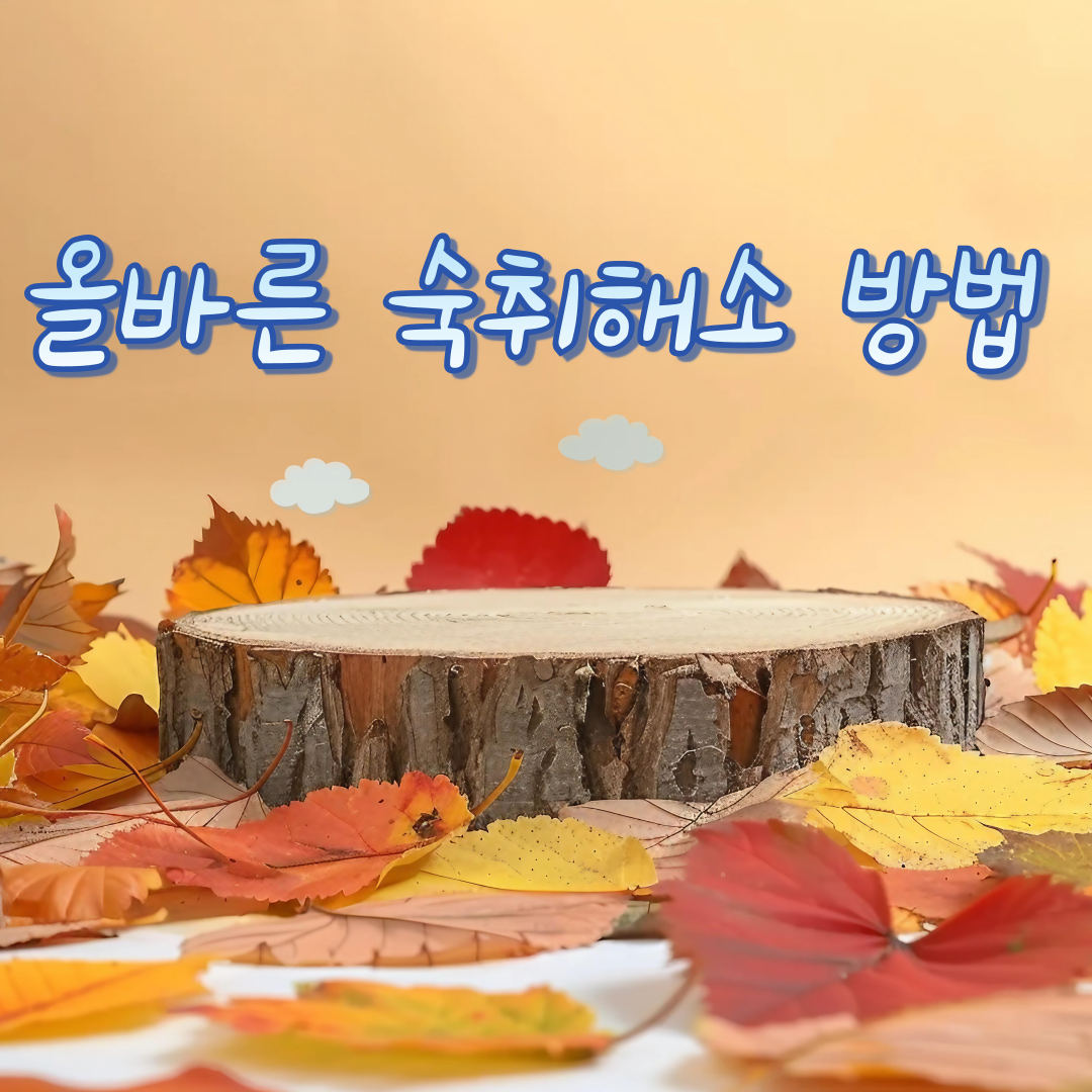 숙취해소 방법