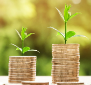 신용등급 무료 조회 &amp; 올리는 방법