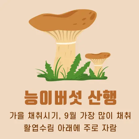 능이버섯 산행