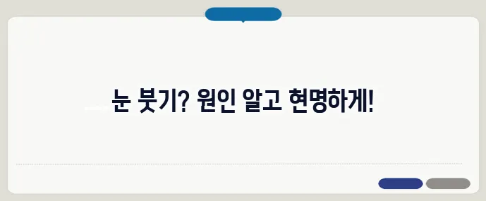 눈이 붓는 증상 원인과 대처법 (+생활팁)