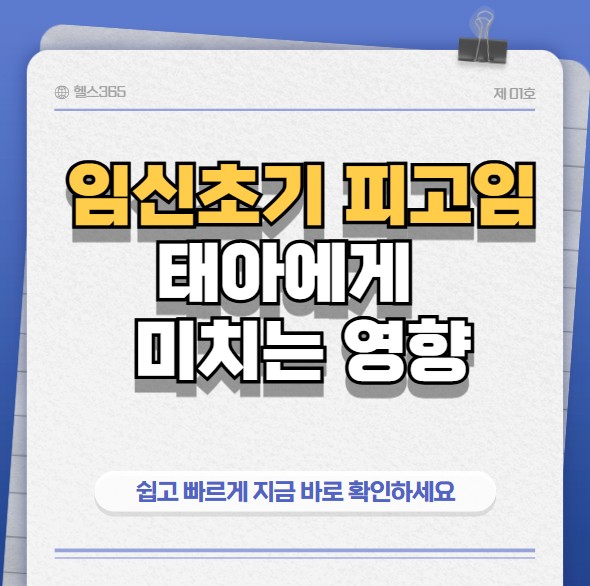 임신초기