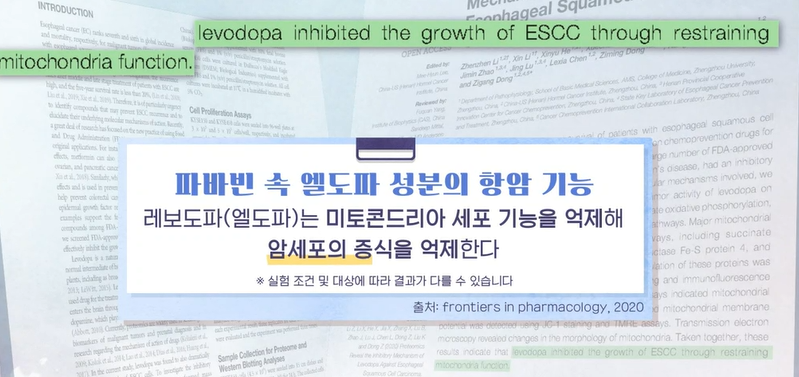 자이언트 파바빈