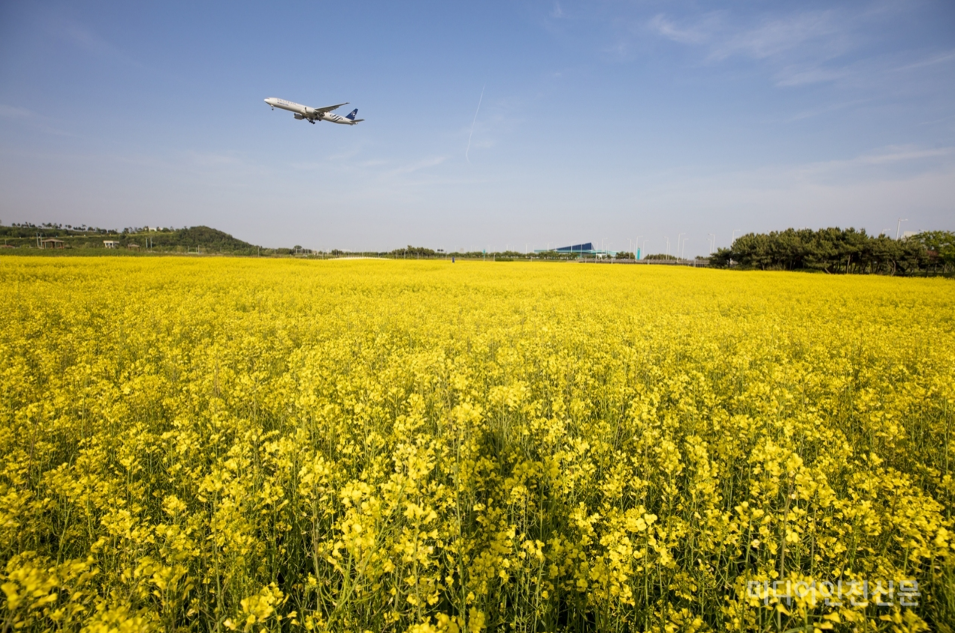 인천 가볼만한곳 베스트10