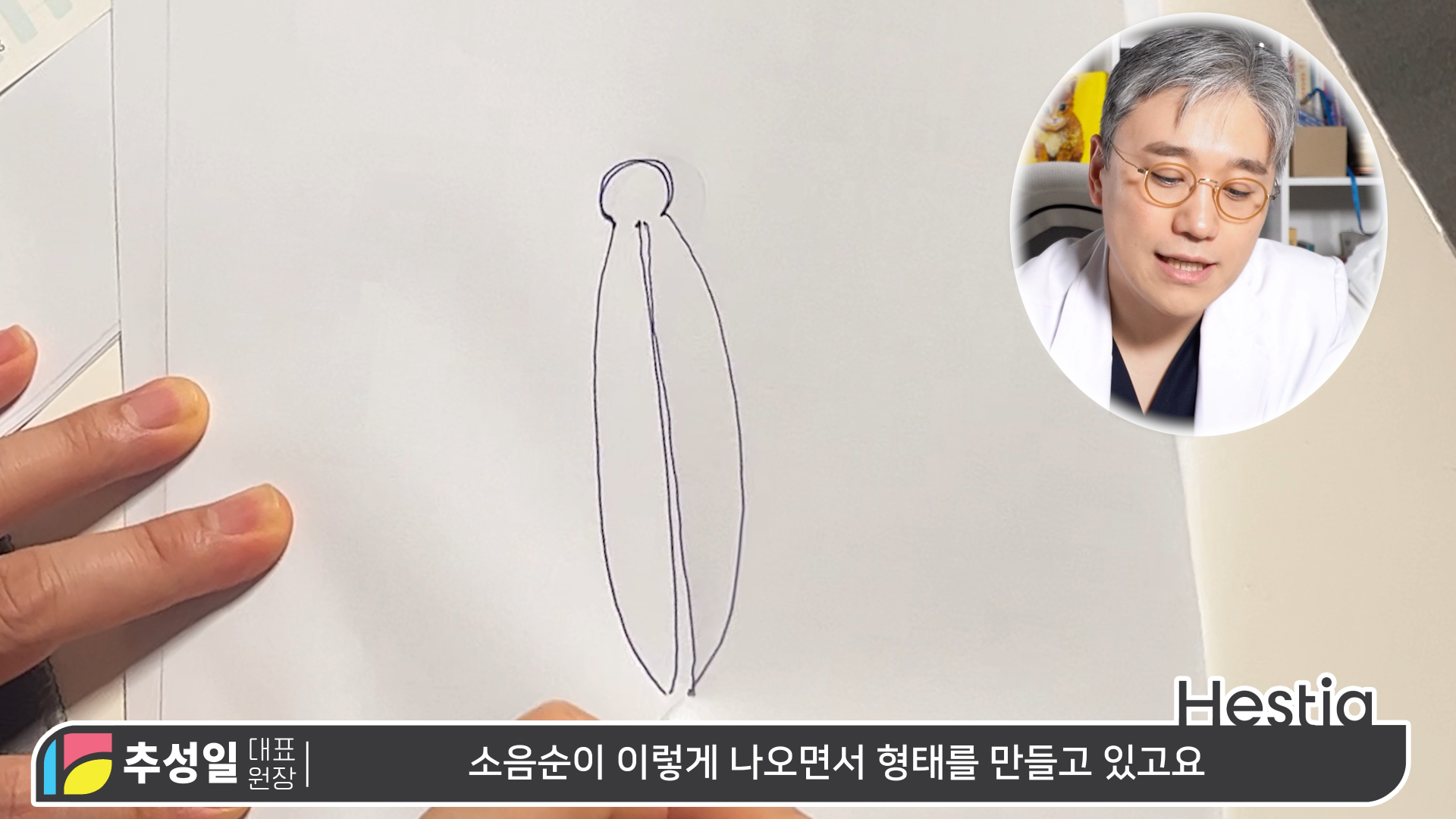  이상적인 소음순이란?