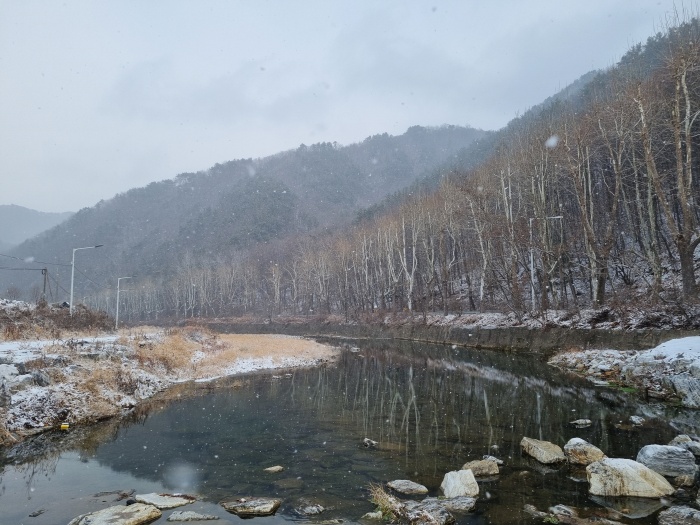 대전천
