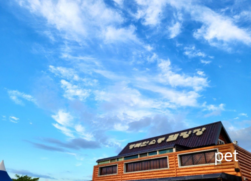 경기-인천-행복한소풍캠핑장-예약-방법-애견-동반-가격-주소-시간-후기