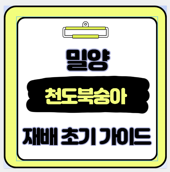 밀양 천도 복숭아 재배