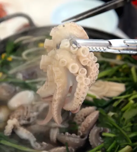 서천 동백꽃 주꾸미 축제_1