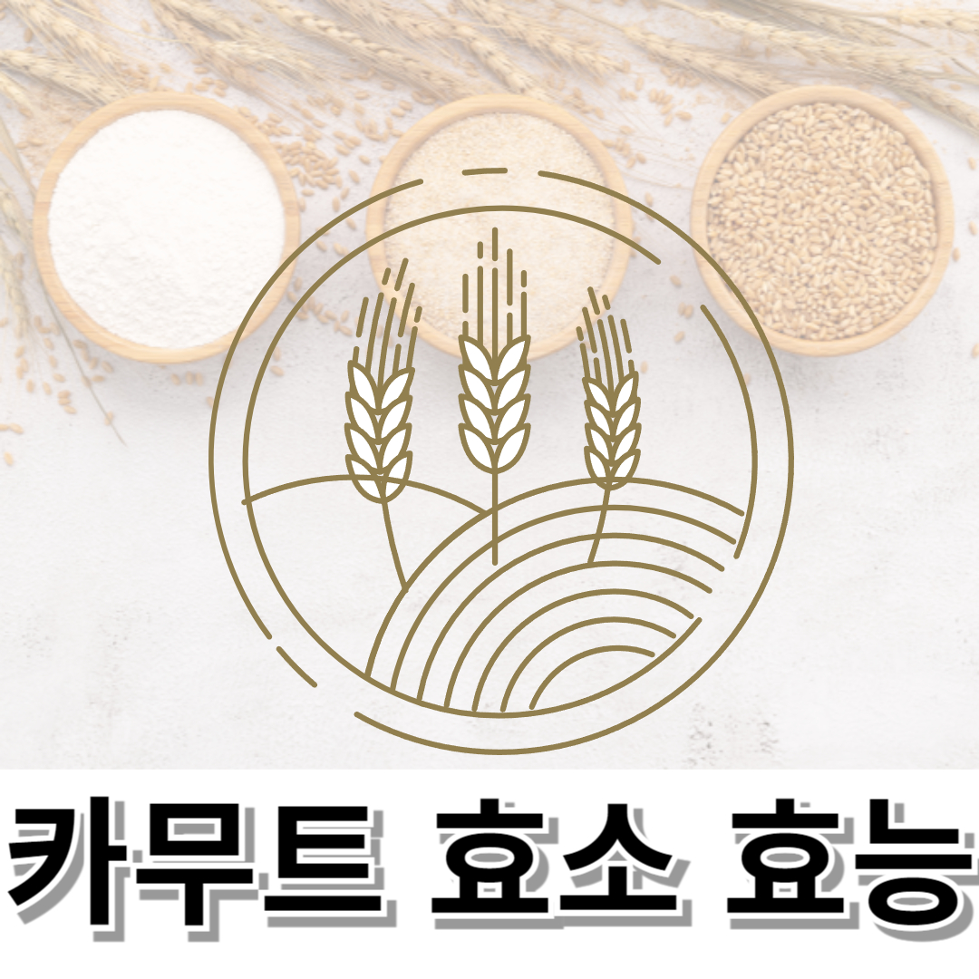 카무트 효소