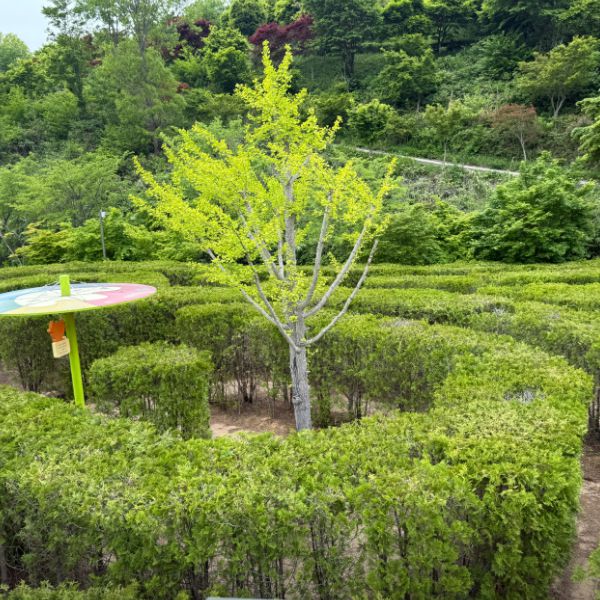 두륜미로파크