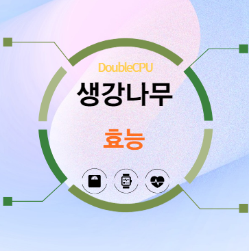 생강나무 효능 탐구