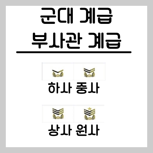 대한민국 군대, 계급 체계, 공무원 직급, 복무 기간, 정년, 비교 분석 (2)