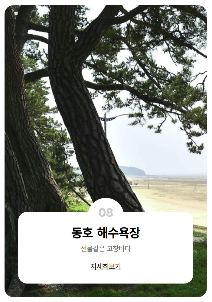 고창 복분자 축제