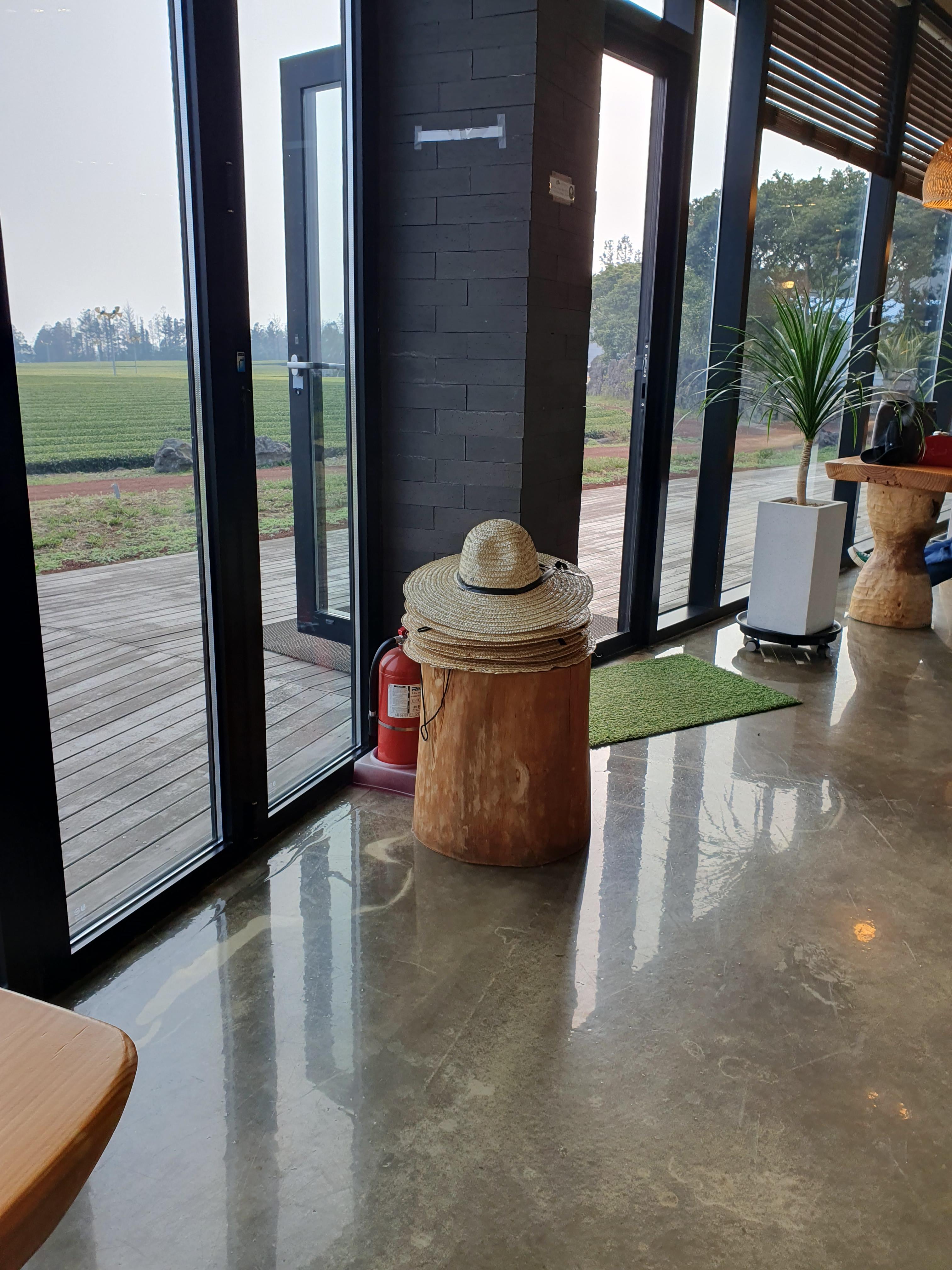 제주 수망다원 카페에 밀짚모자가 있음. 이거 쓰고 녹차밭 돌아다녀도 됨. 물론 빌린거니 다쓰고 제자리로~