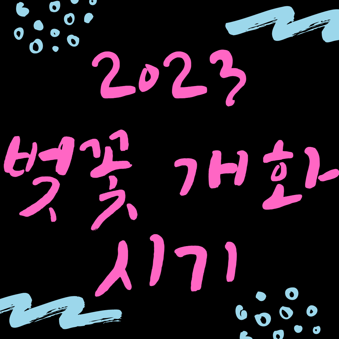 벚꽃 개화시기 2023