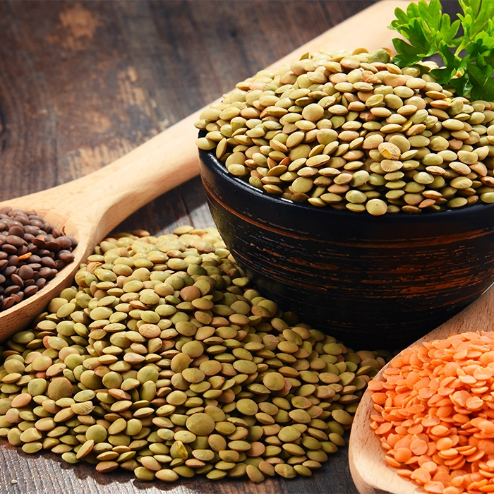 렌틸콩&#44;lentils