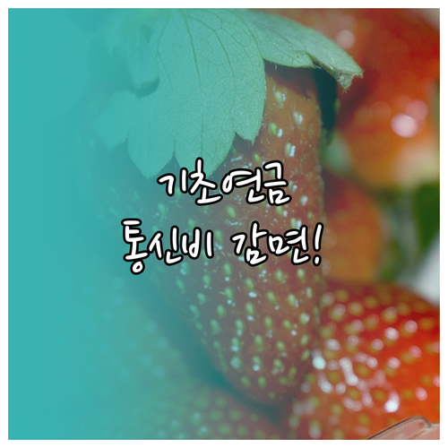 기초연금 수급자를 위한 알뜰폰 통신비..