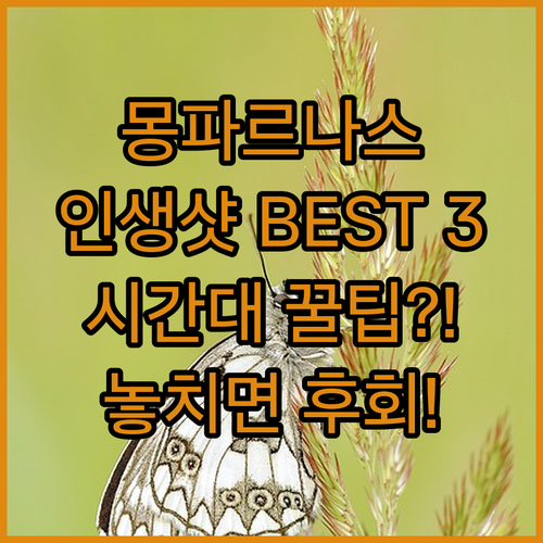 풀만 파리 몽파르나스 호텔 인테리어 ..