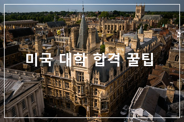 미국 대학 합격 꿀팁