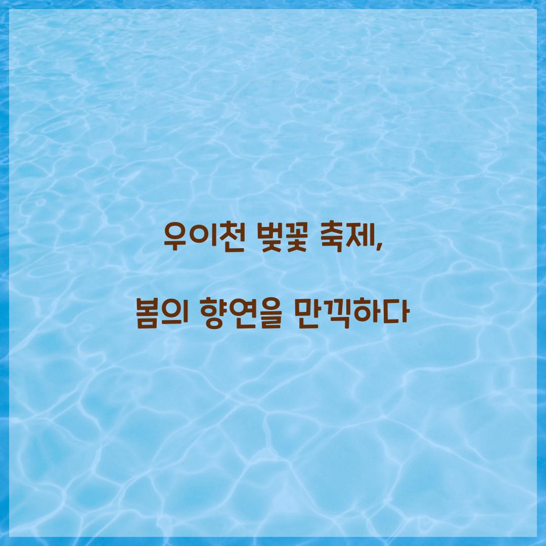 우이천 벚꽃 축제