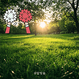 오늘의 작은 희망이 내일의 큰 기적을 만듭니다.