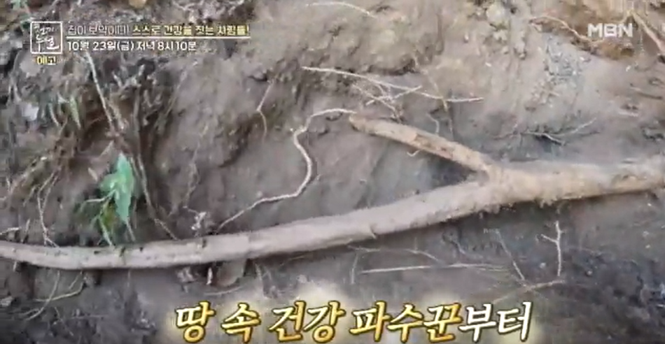 746회 방송이미지
